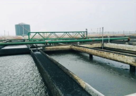 江苏省黄泛区鑫欣牧业有限公司的养殖废水